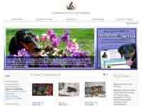 Dachshund Rescue North America