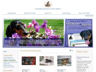 www.drna.org
